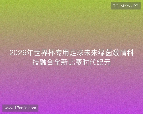 2026年世界杯专用足球未来绿茵激情科技融合全新比赛时代纪元